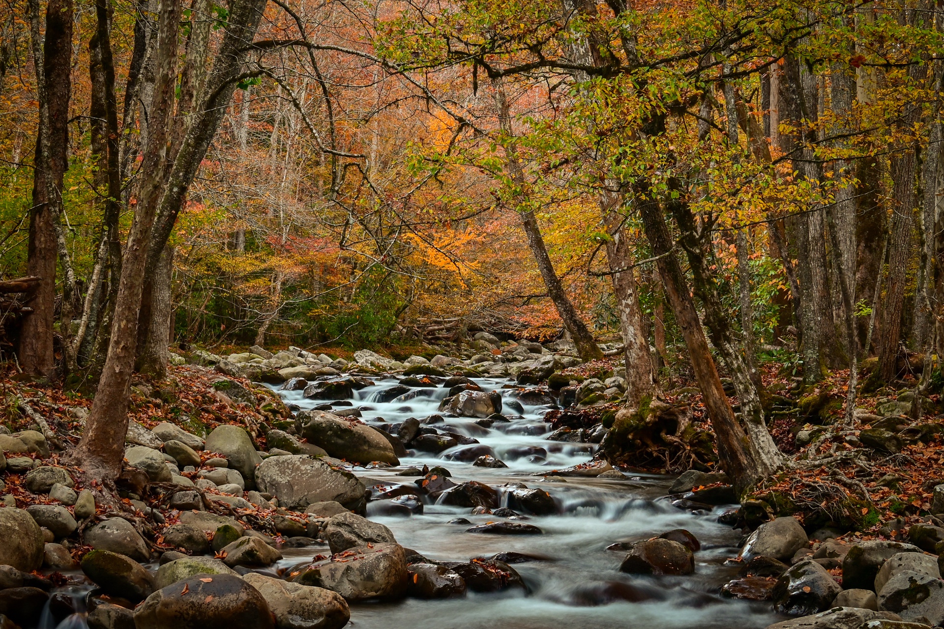 Brier Fall