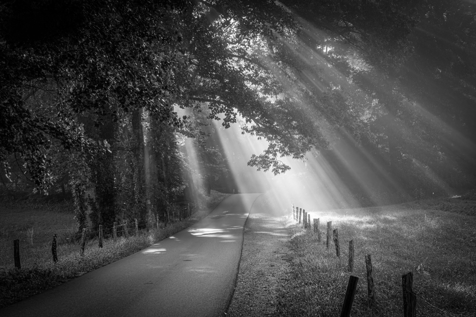 Morning Light in the Cove