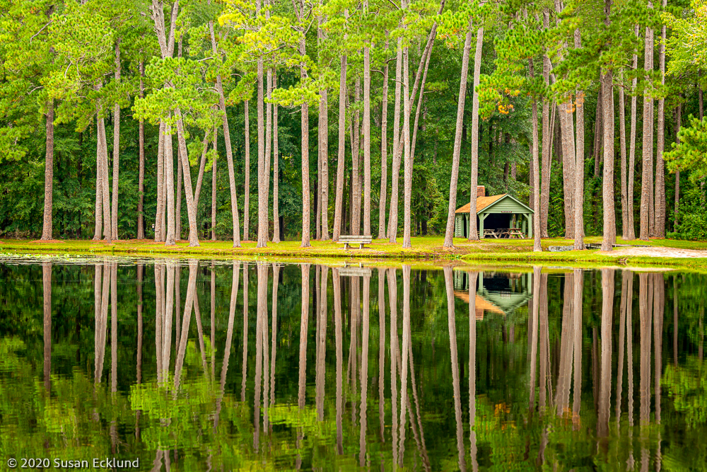 The Fishing Pond