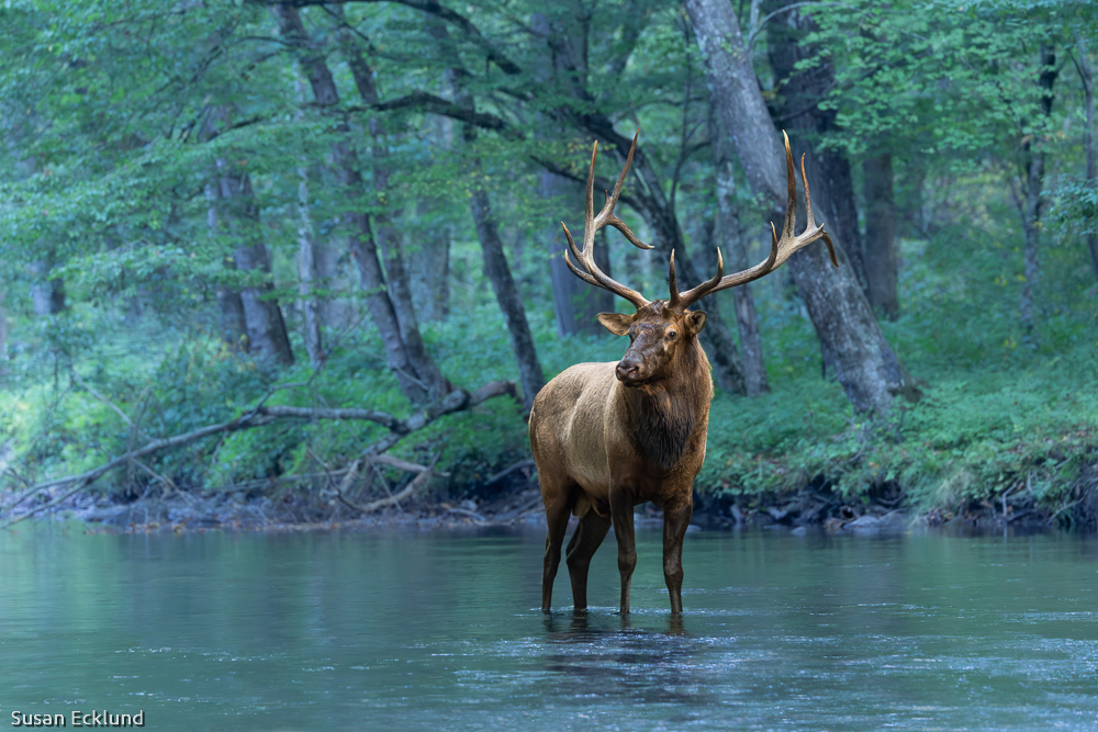 River Crossing