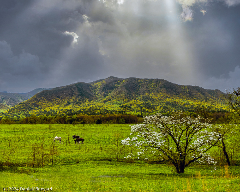Mountain Landscape