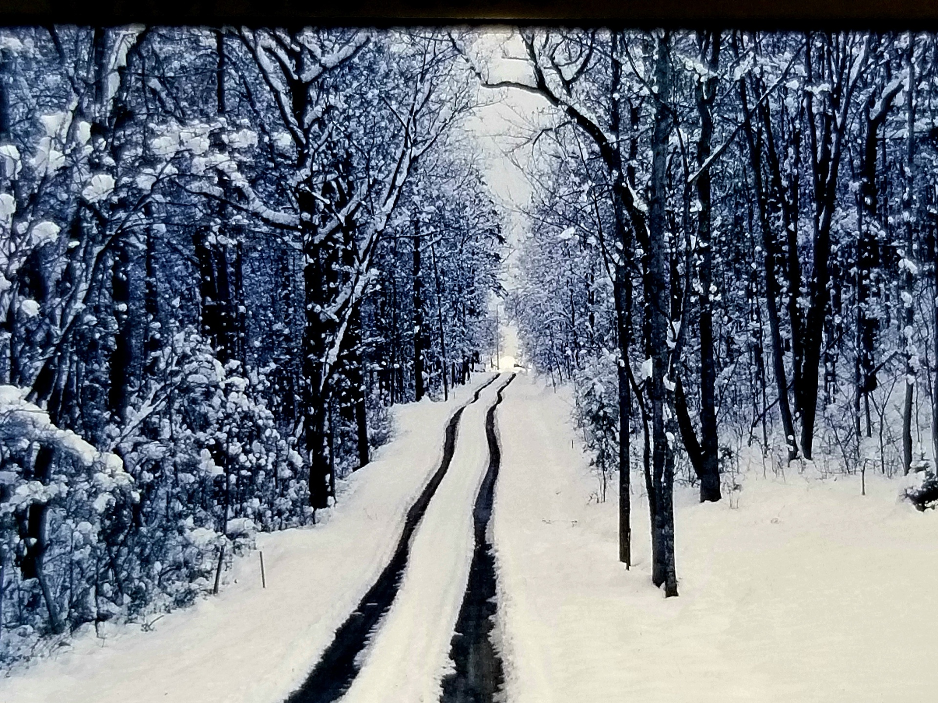 snowy roadway