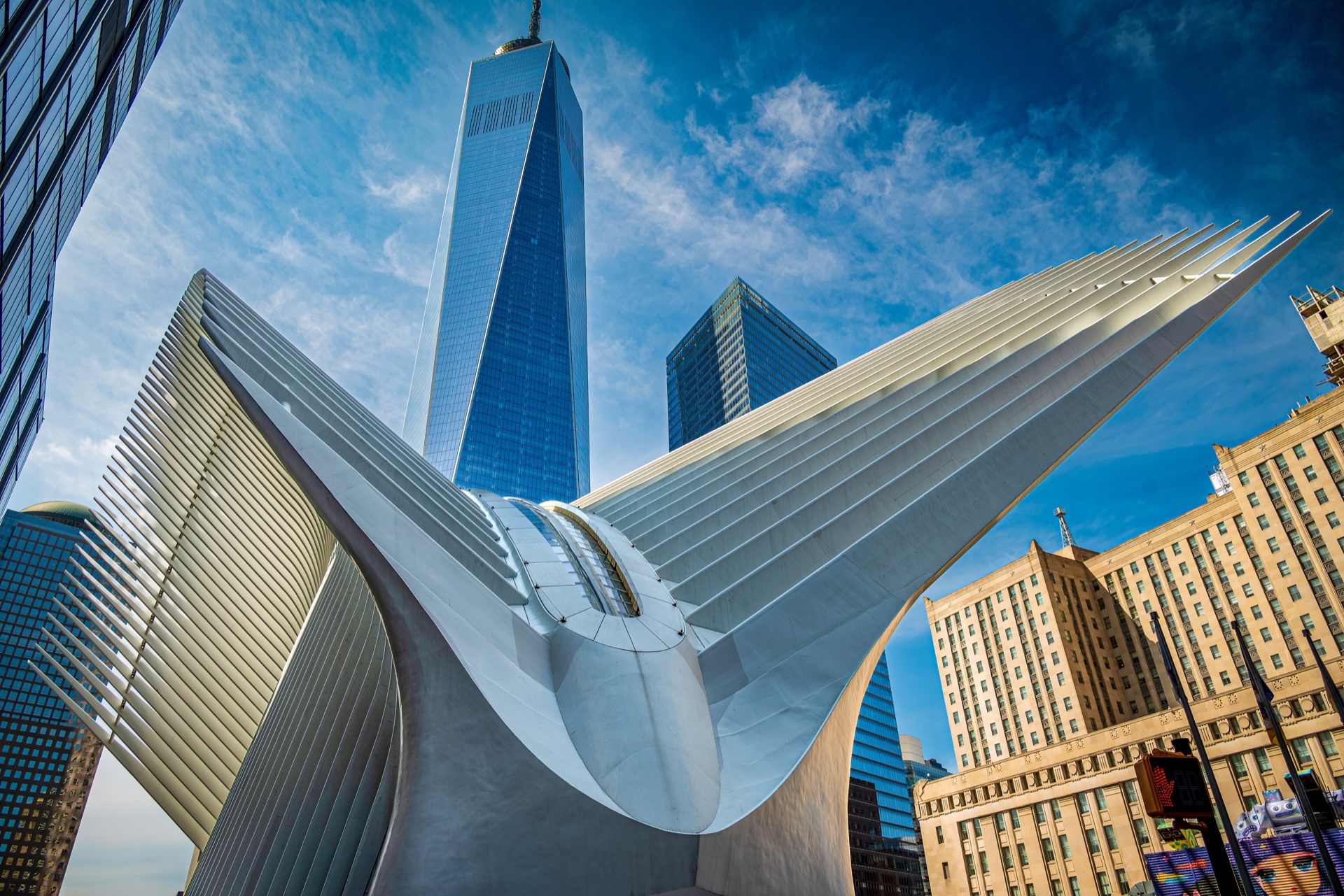The Oculus