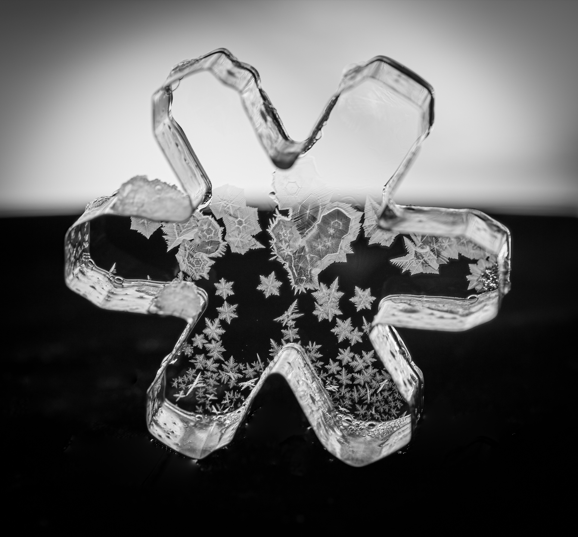 frozen cookie cutter bubble