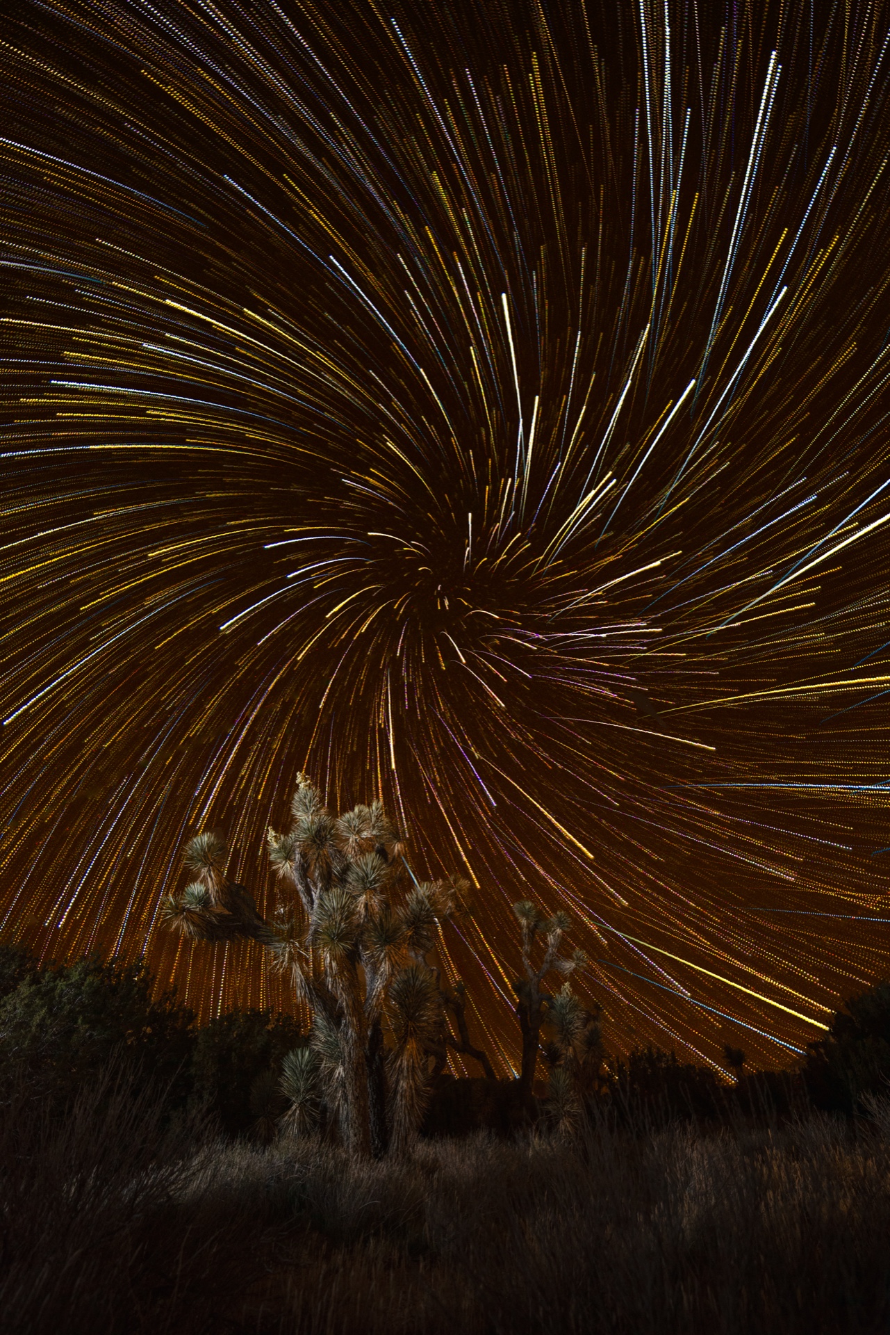 Star Trail Worm Hole