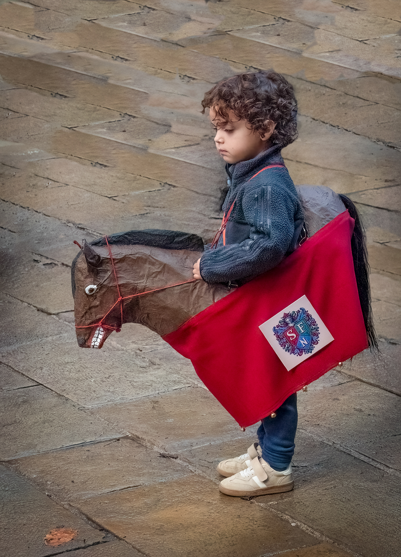 The Lone Rider