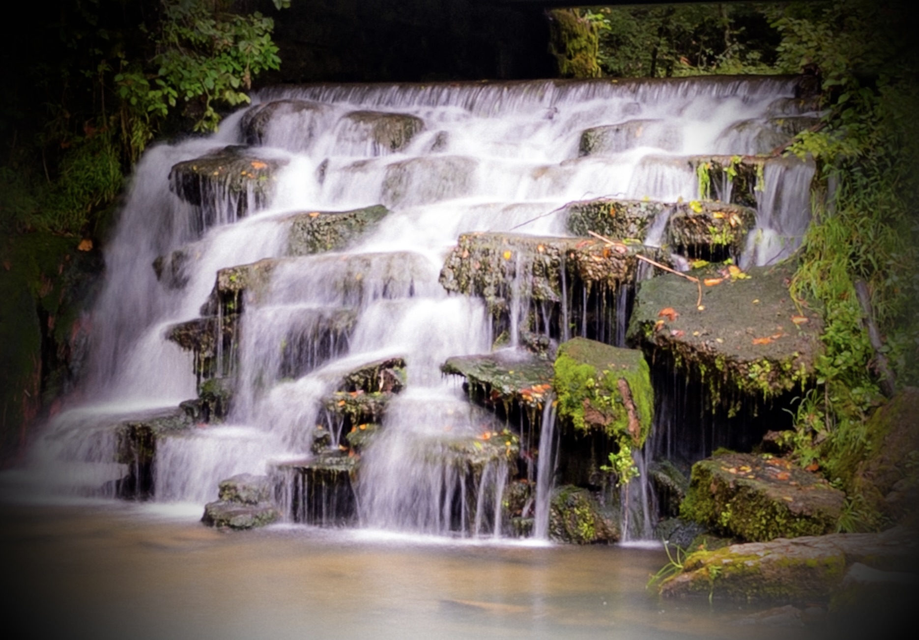 Buffalo Springs