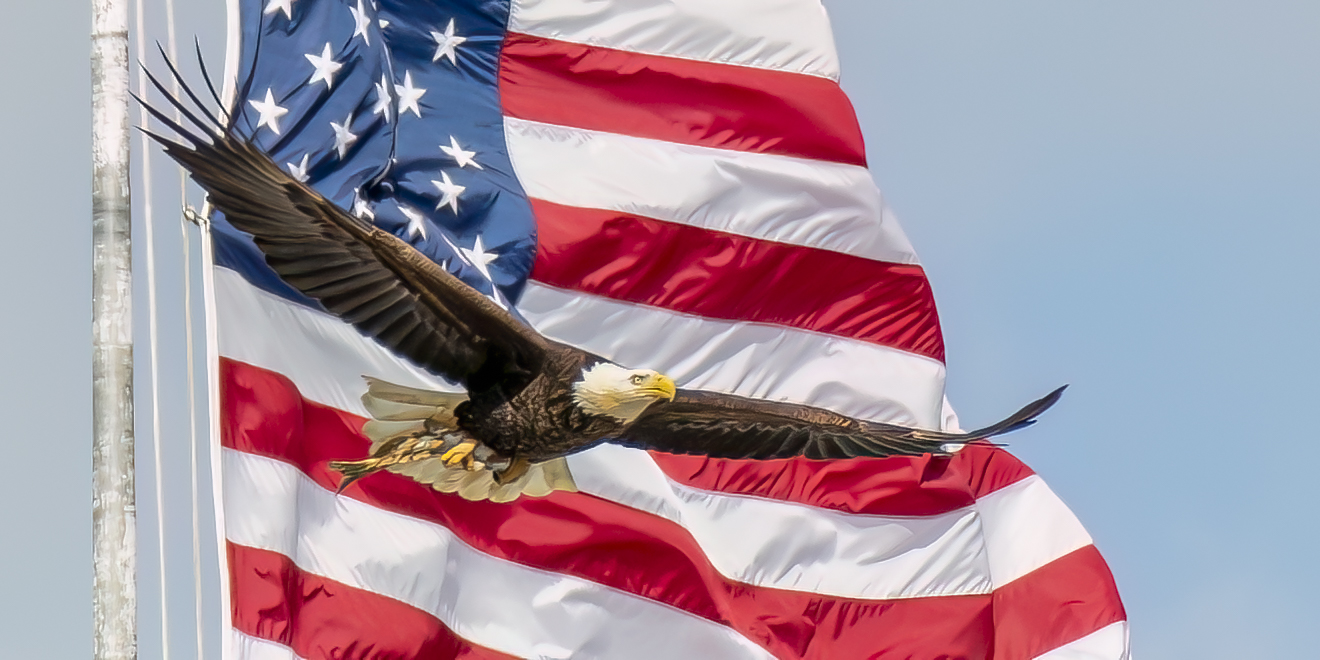 God Bless America!
