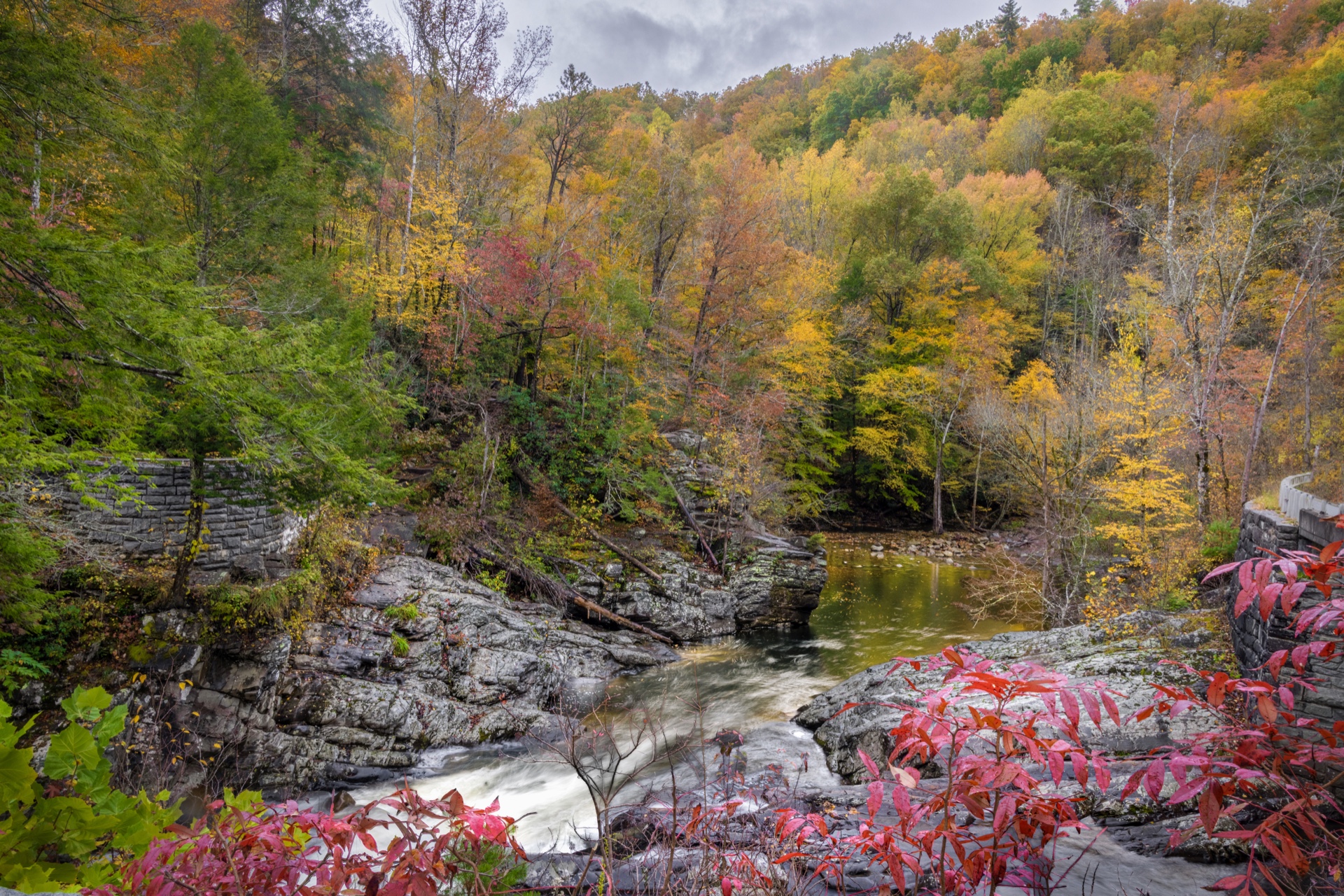 fall in the Smokies