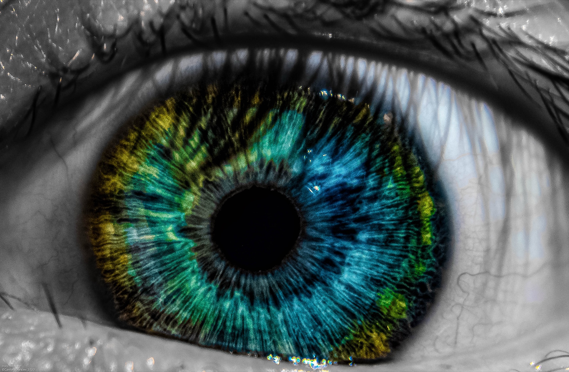 In the Minds Eye