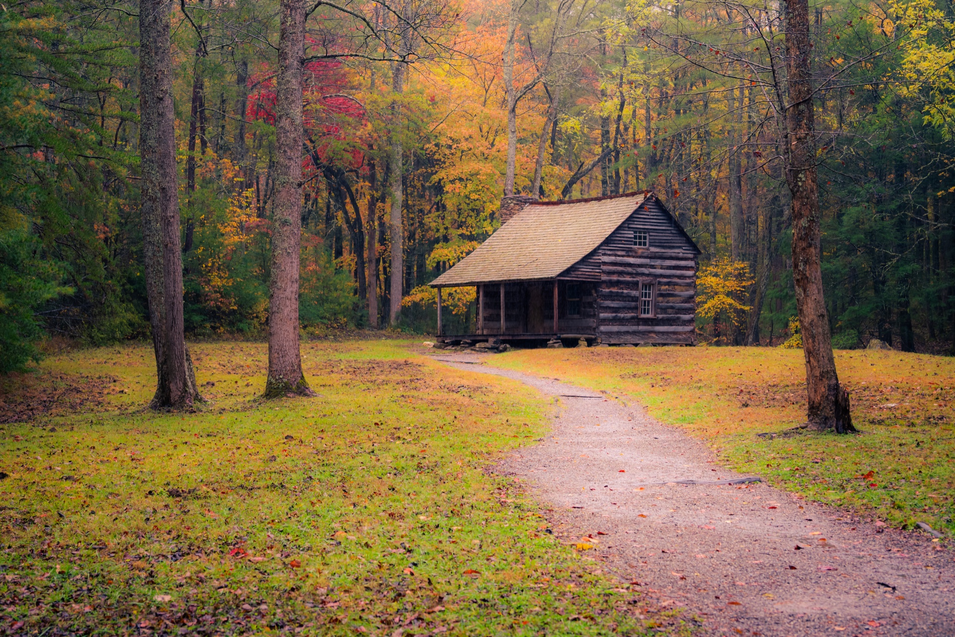 Peaceful Autumn Dream