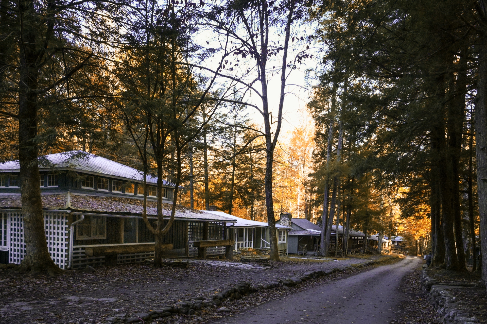 Papson Elkmont Afternoon
