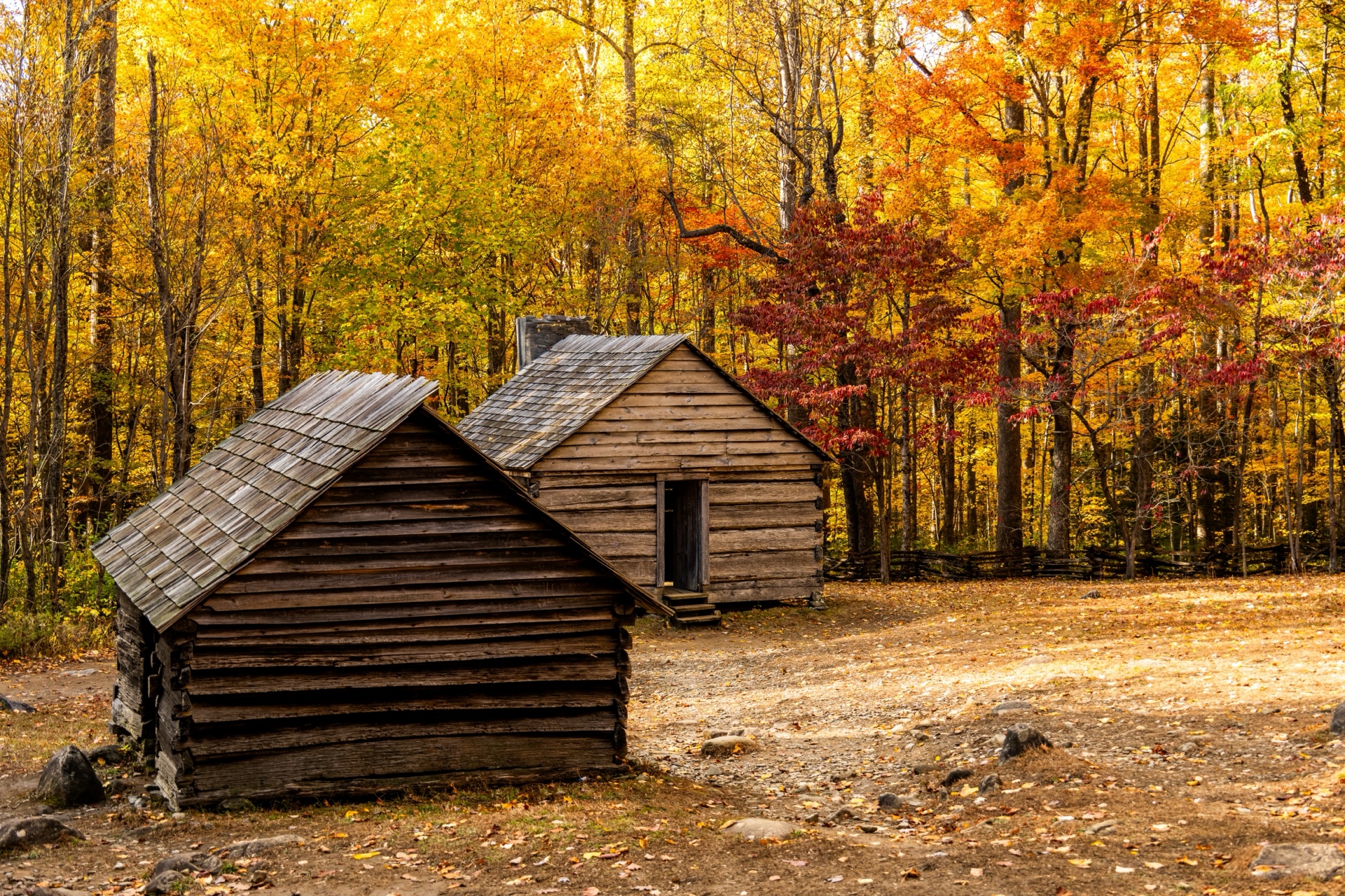 Peak of Fall