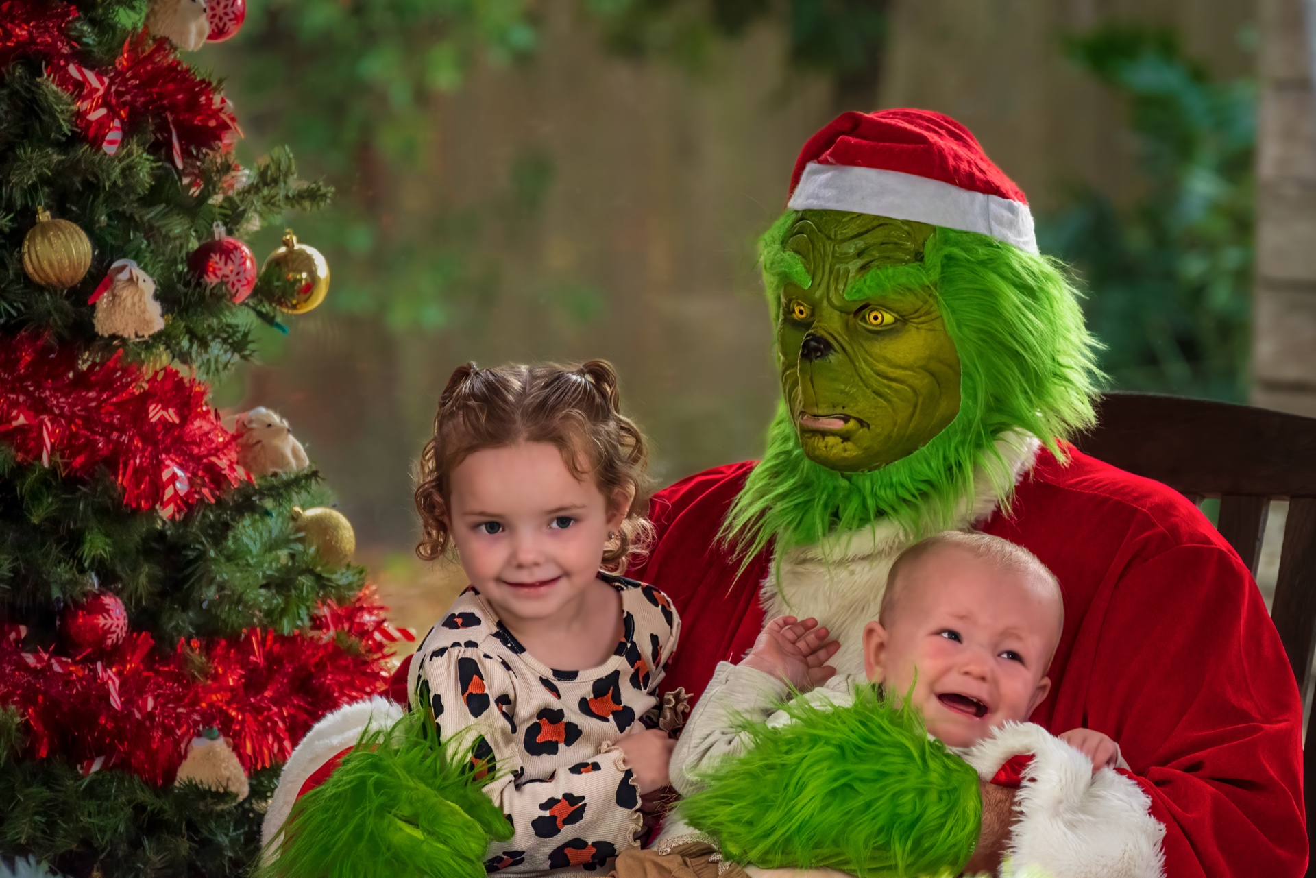 The Grinch Questions His Life Choices