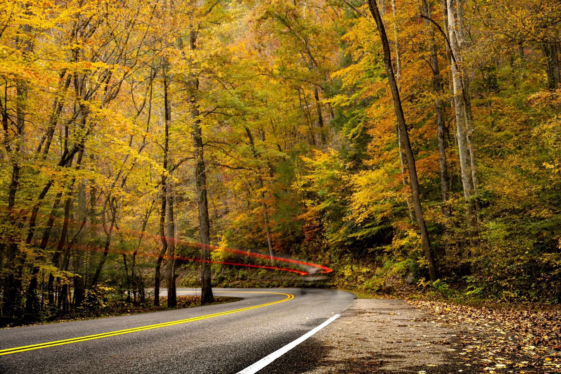 The Road of Many Colors