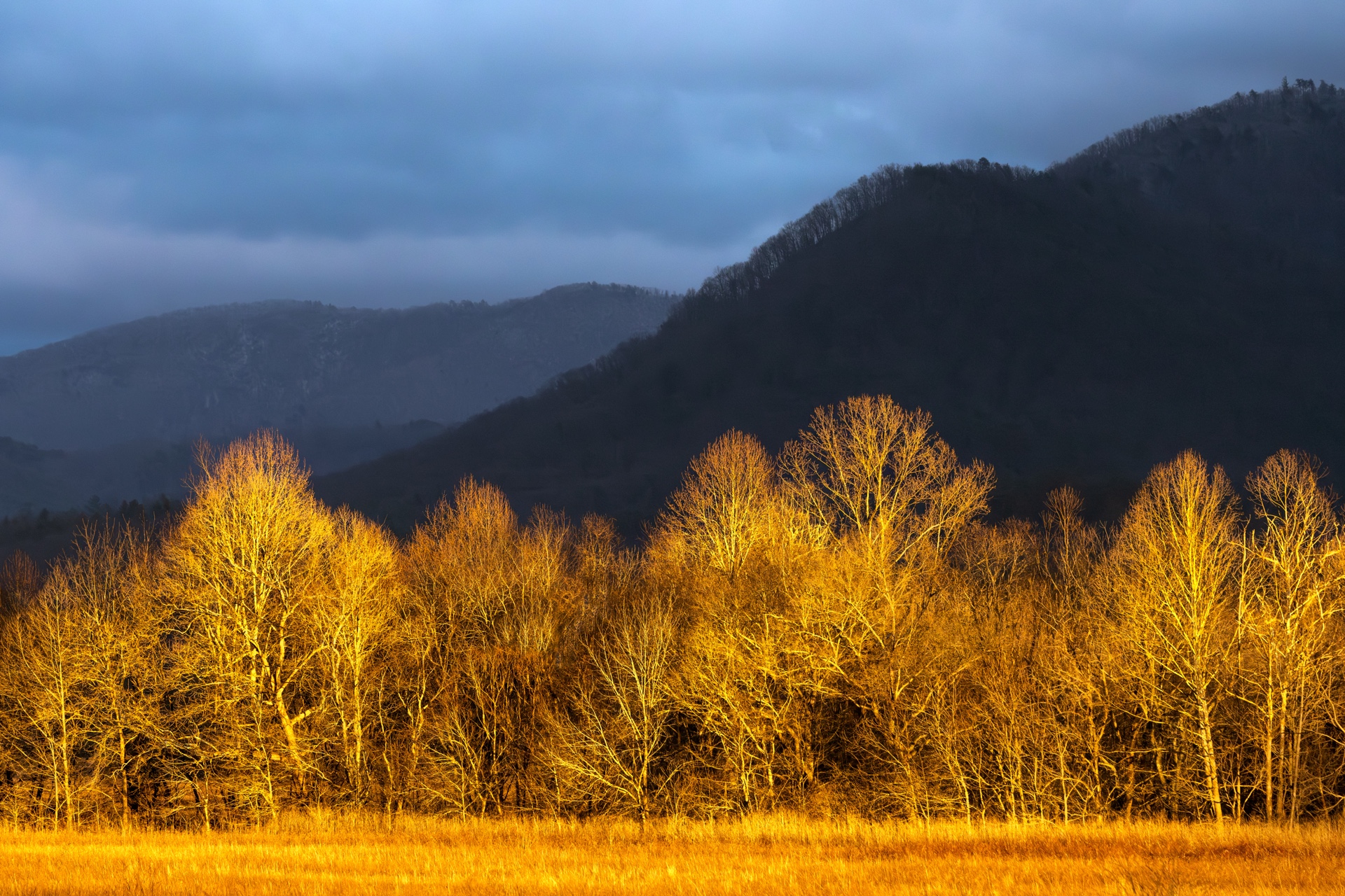 Aspen Glow in the Cove