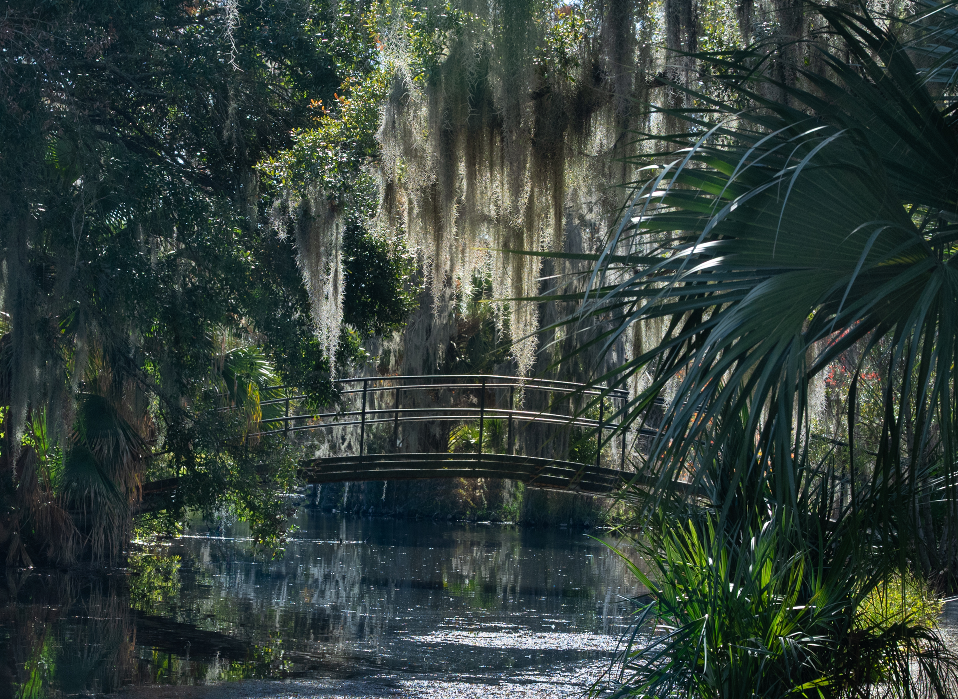 Enchanted Crossing