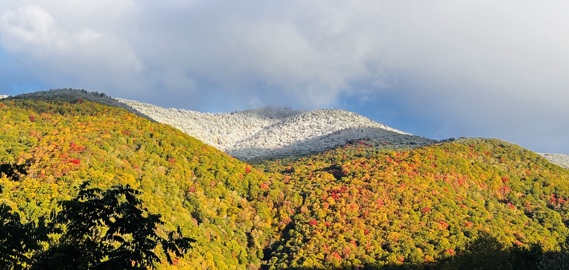 Fall meets winter and fog