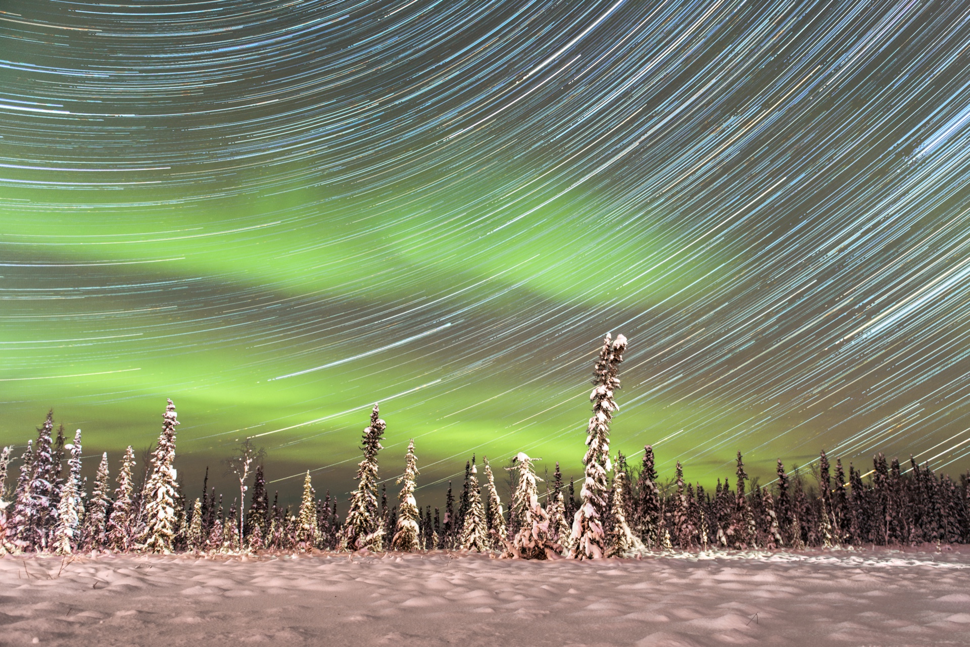 Alaska Nights