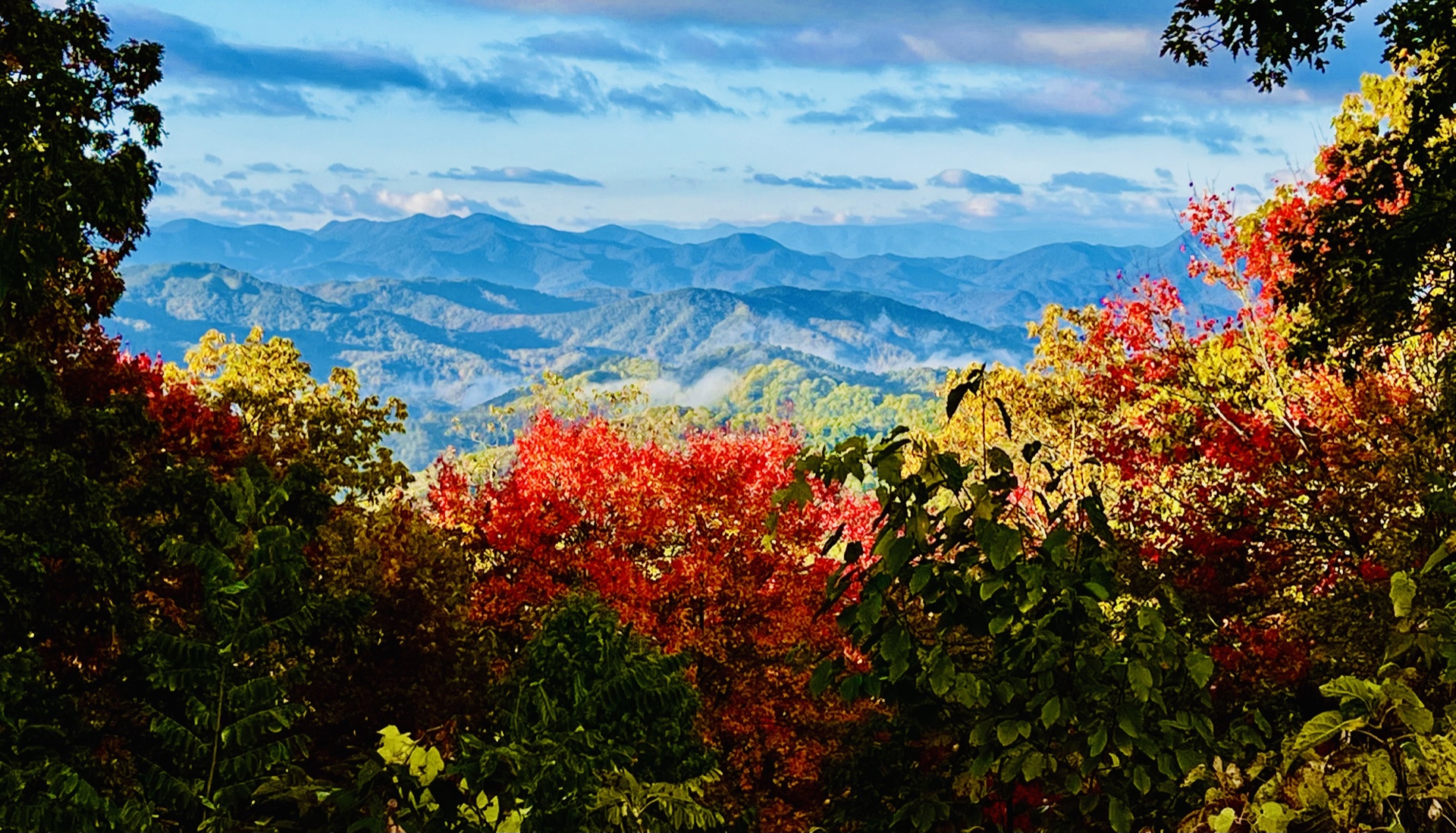 Woodfin Valley in the fall