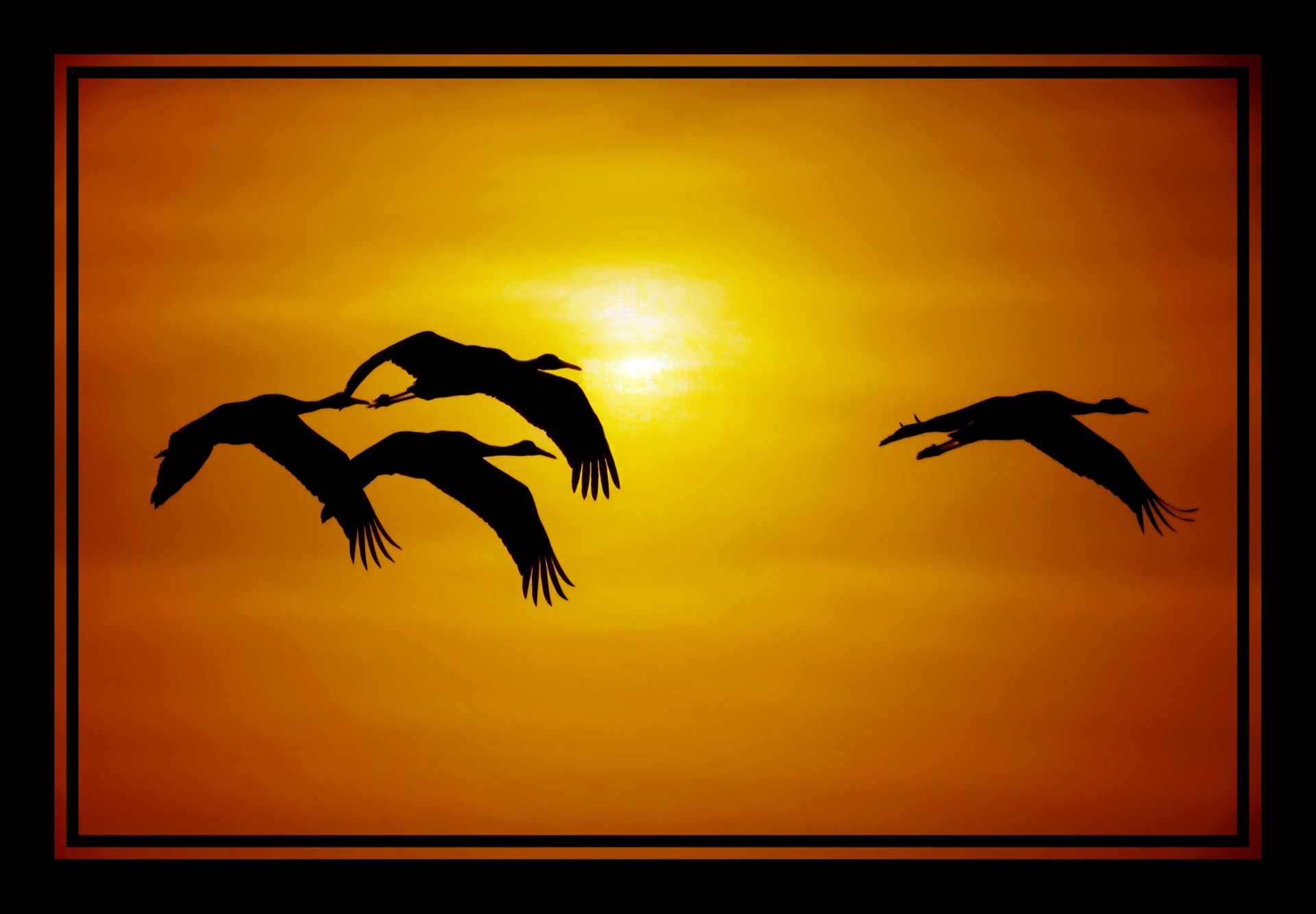 Sandhills in the Setting Sun