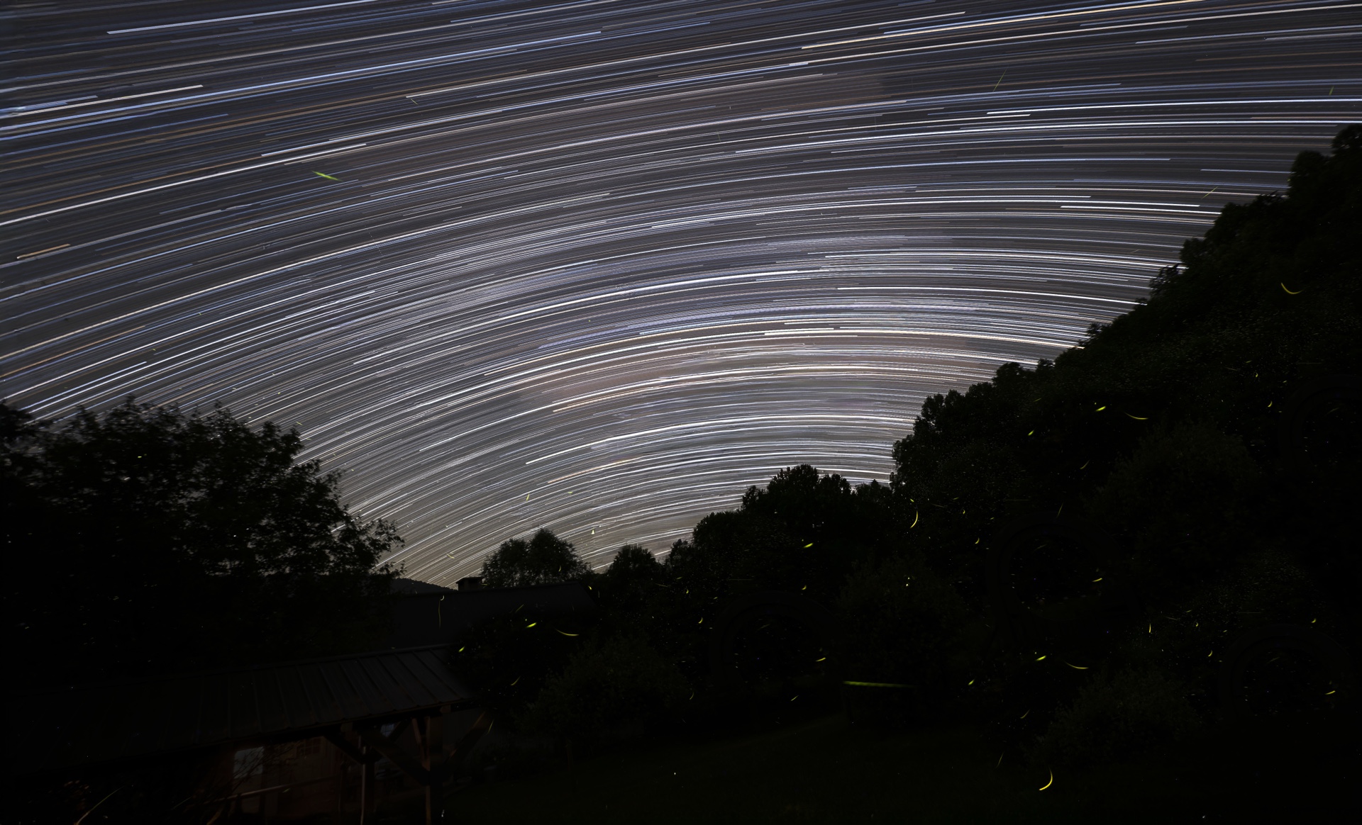 Star Trails and Fireflies
