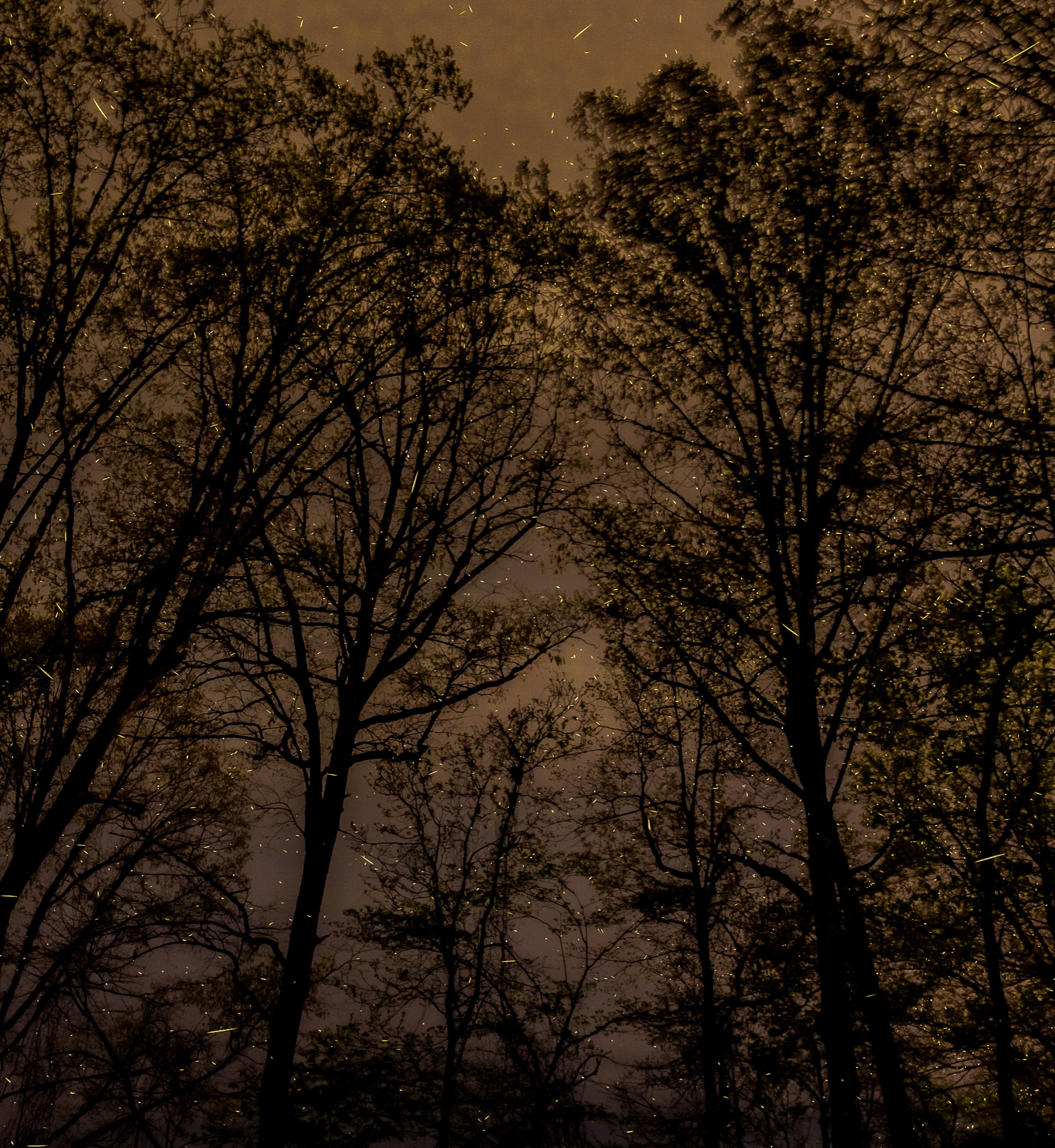 Trying to Light Up the Night