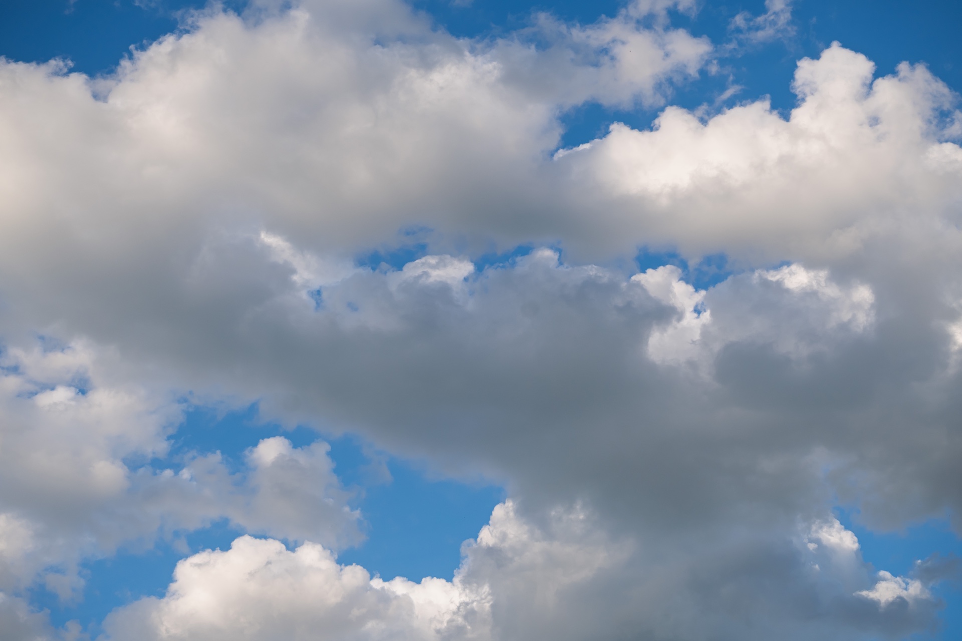 Cloudy Day