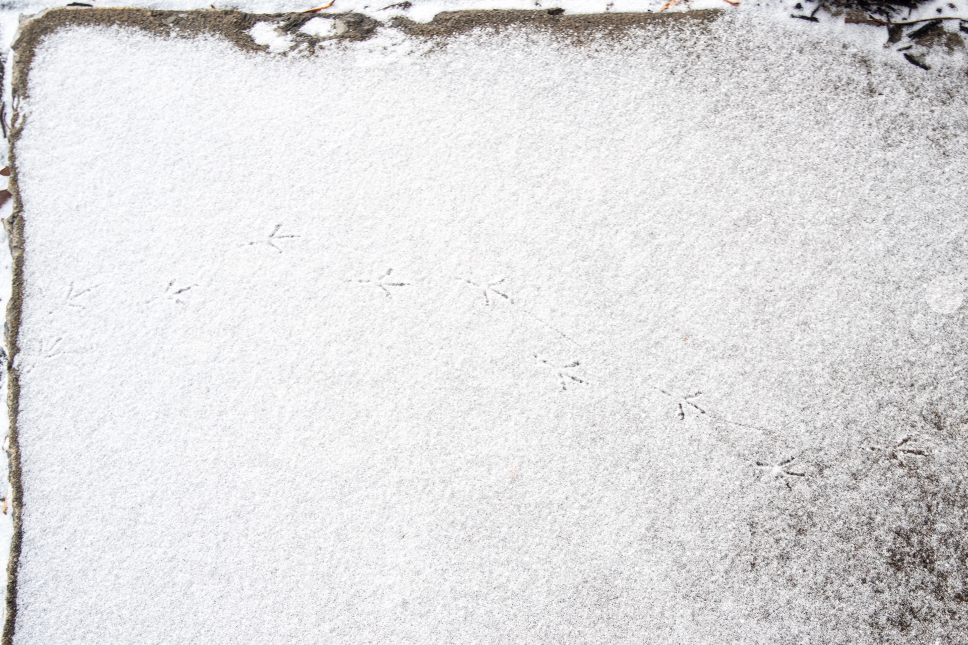 Footprints In The snow