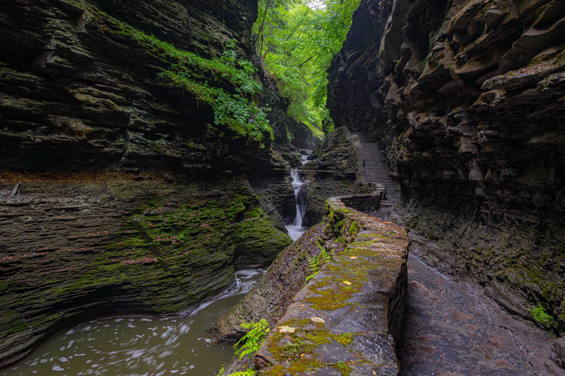 Watkins Glen