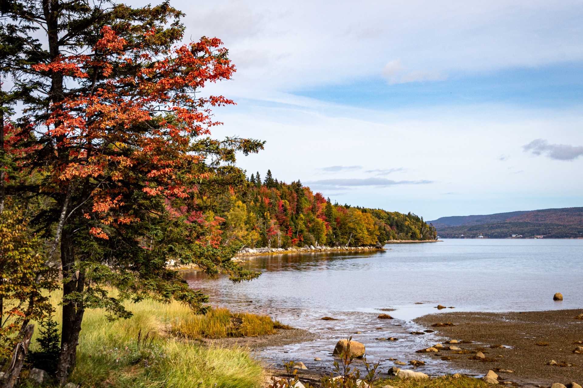 Autumn Splendor
