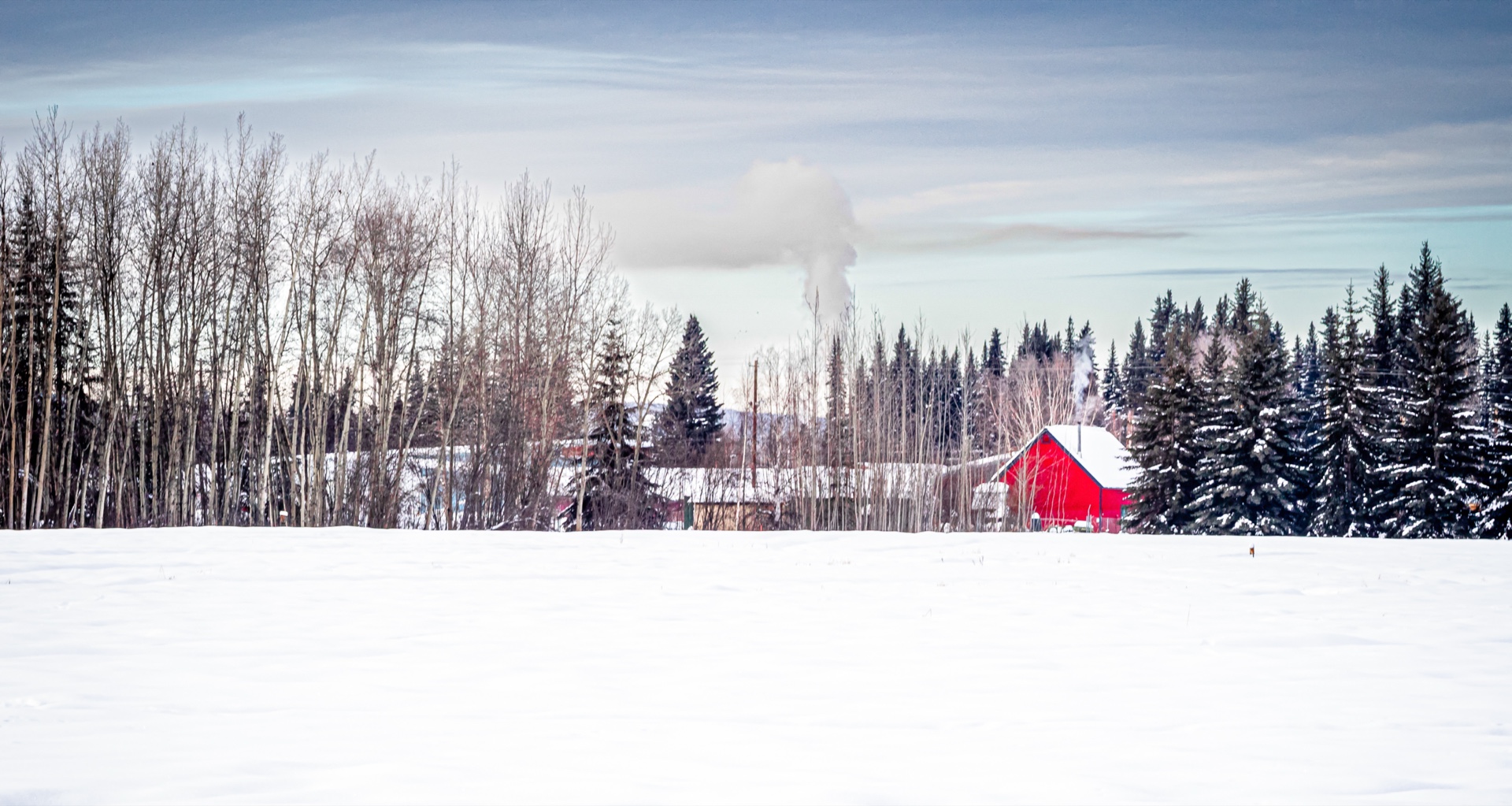 Winter Farm-2