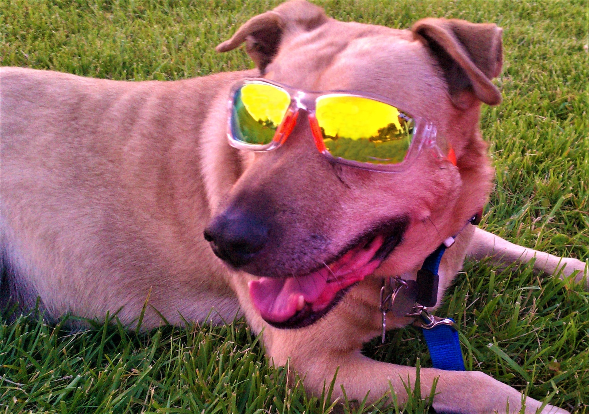 One Cool Dude