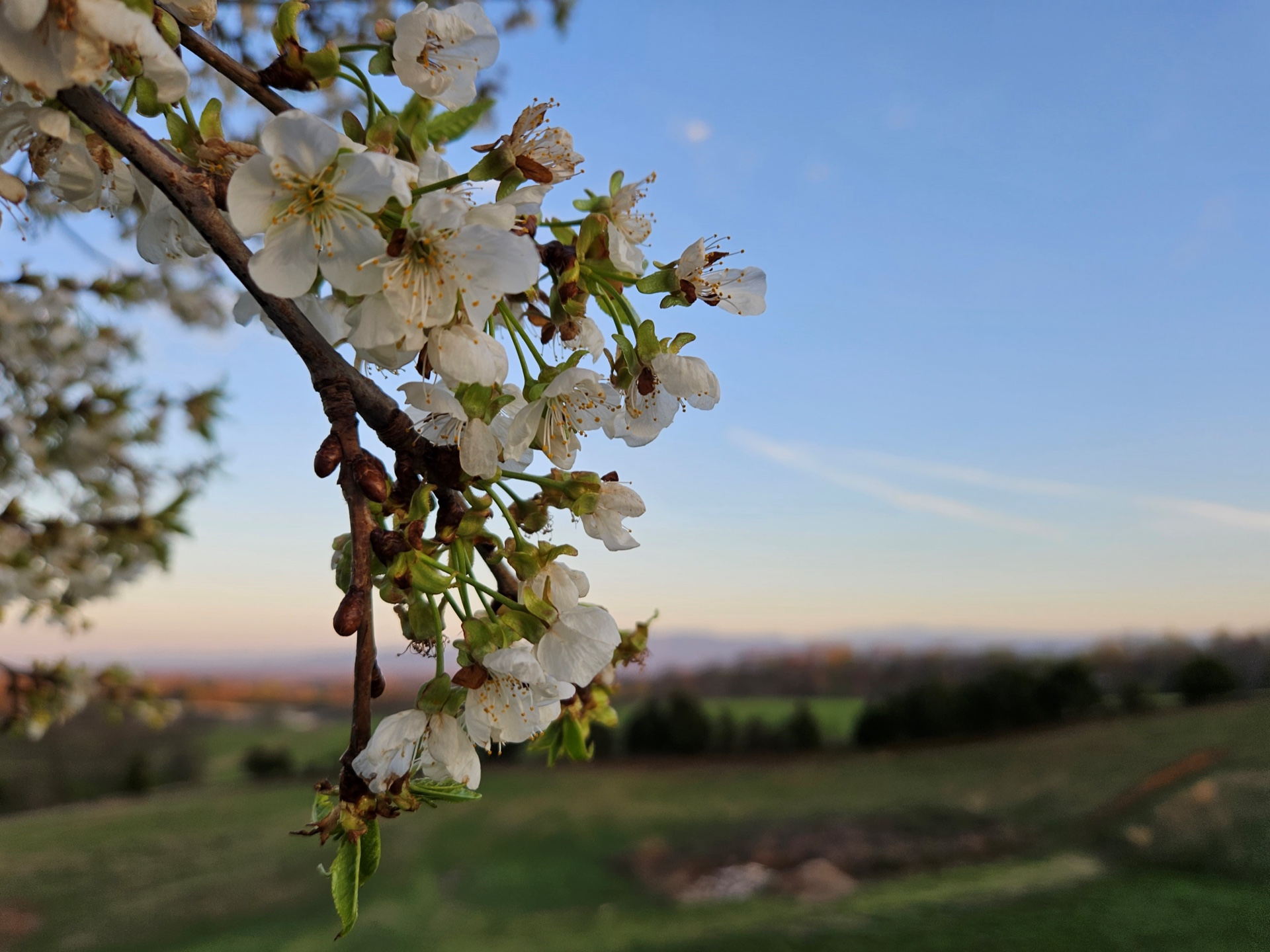 Spring Has Sprung