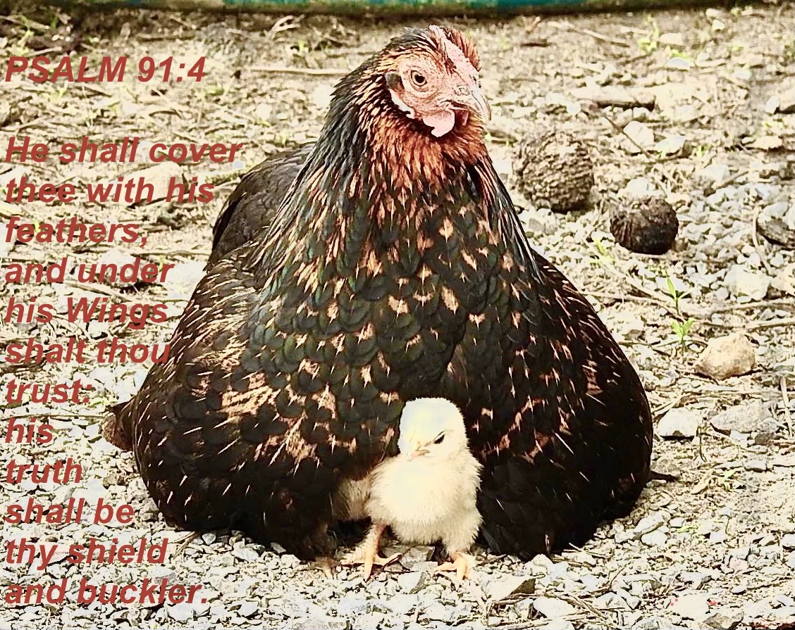 Parable