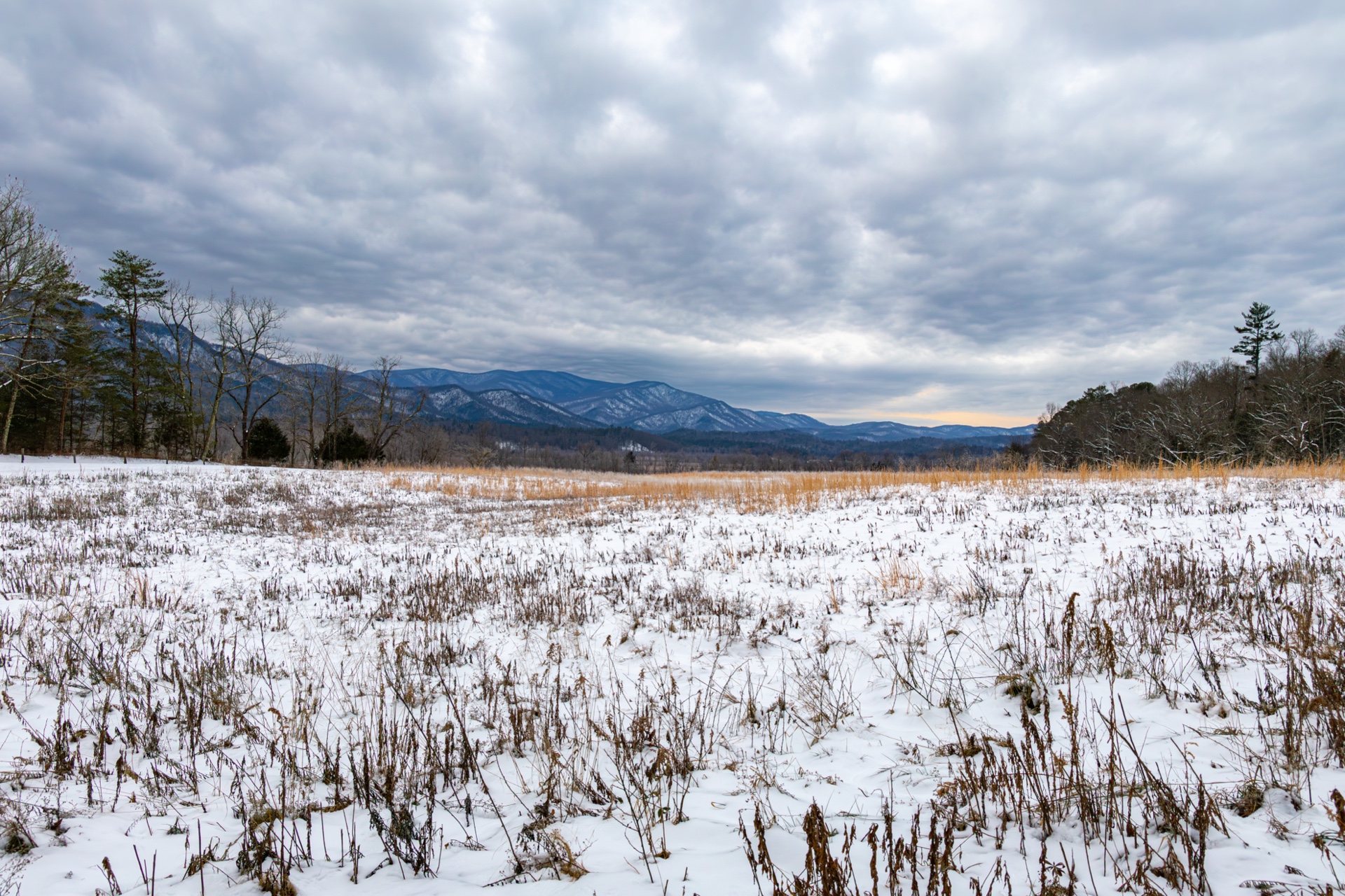 Cades Cove Landscape