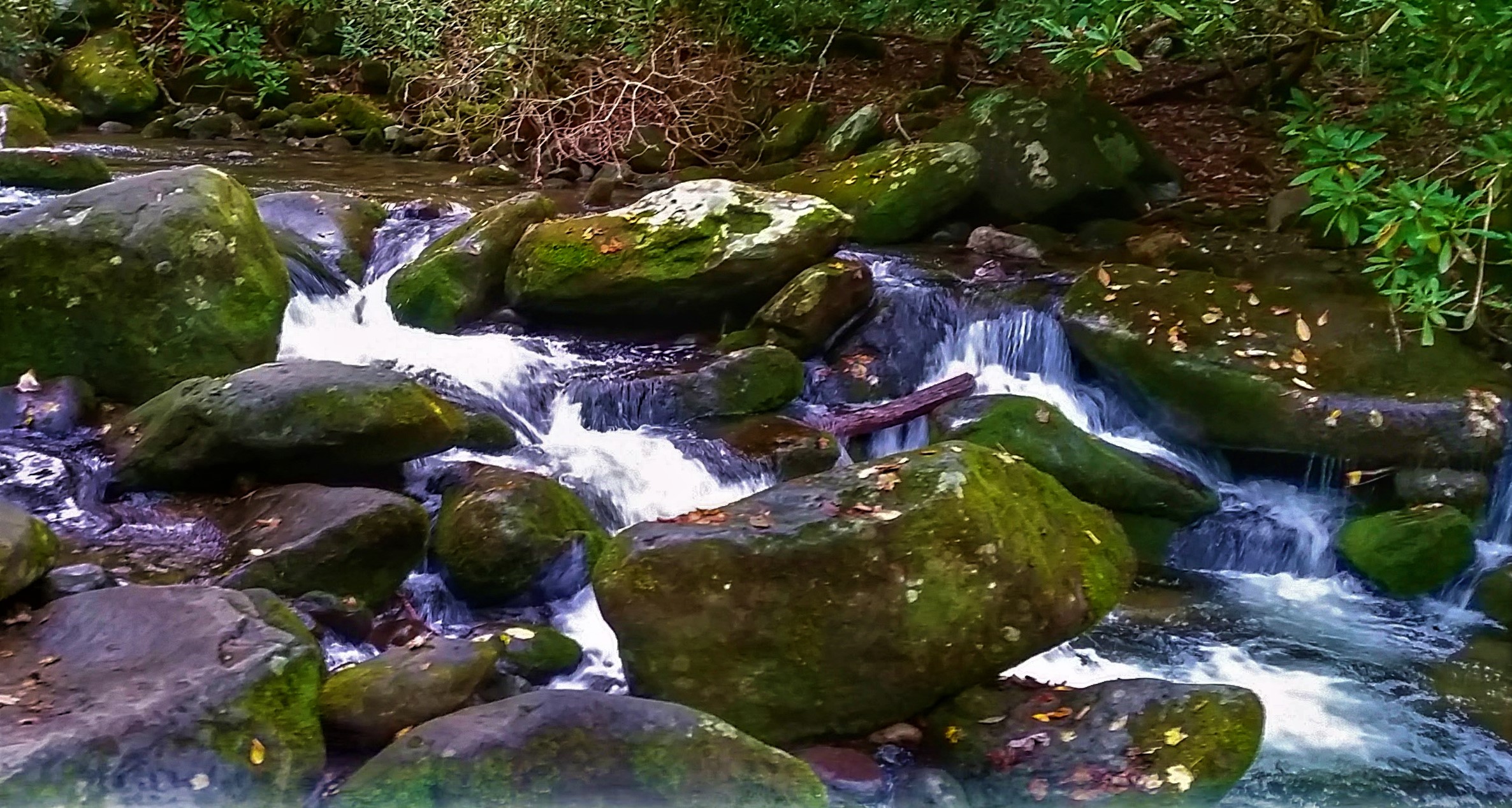 Rushing Waters