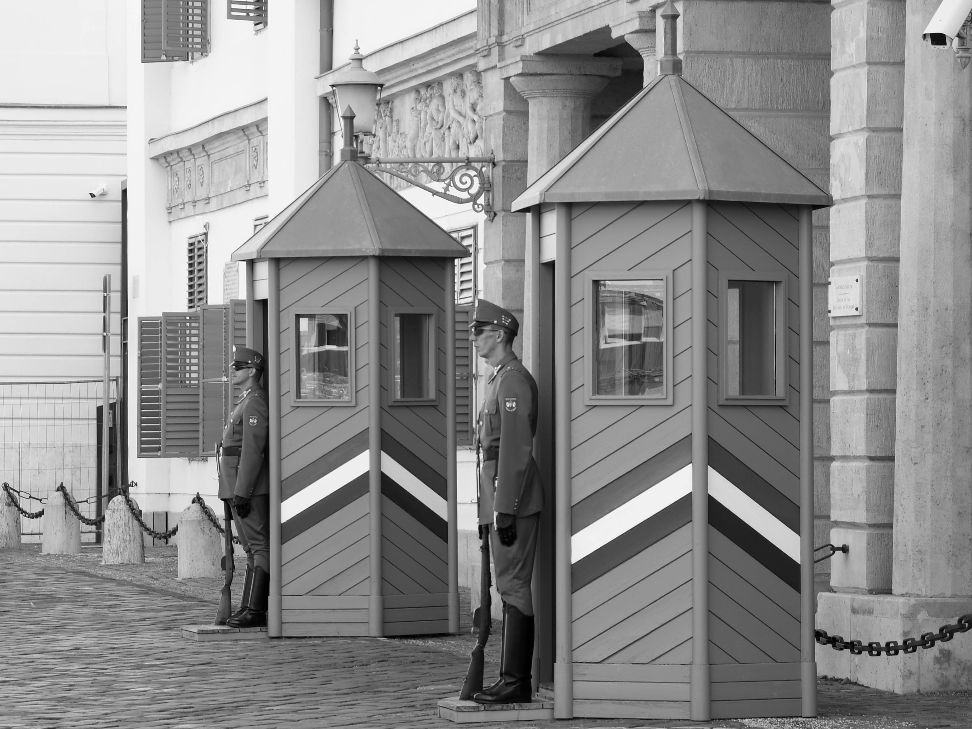 Castle Guards