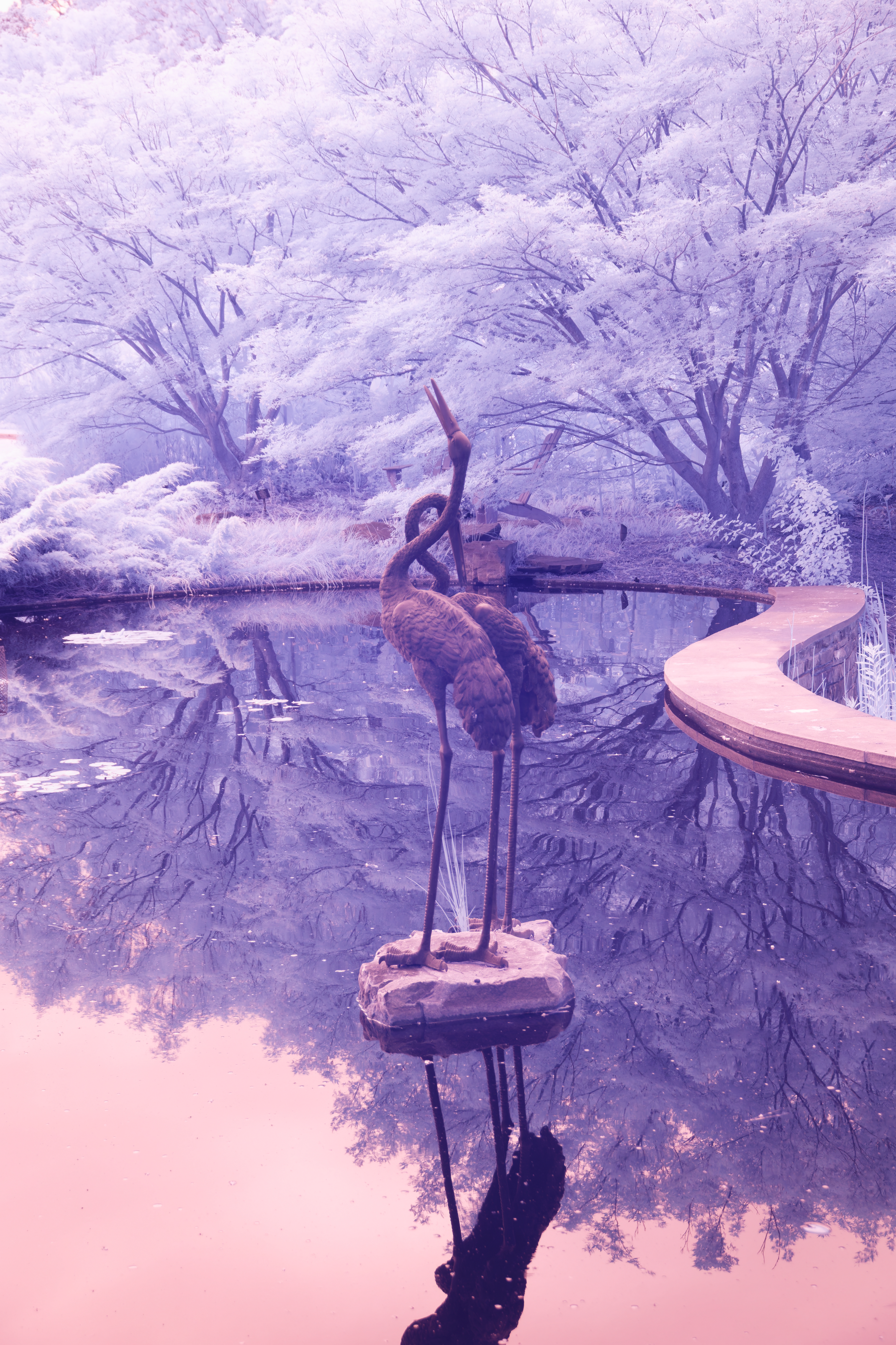 Statue In Infrared