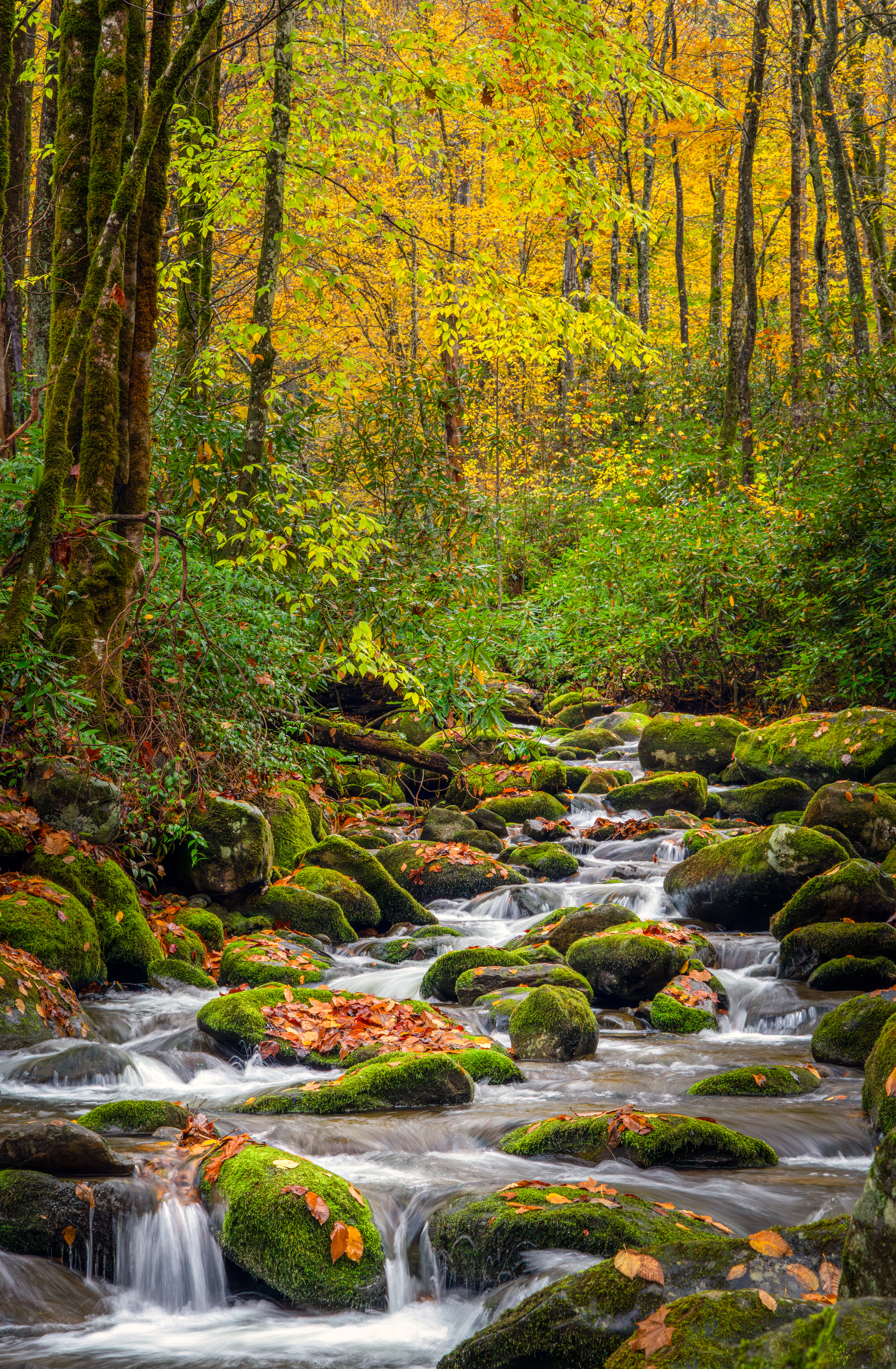 Tranquility at Roaring Forks