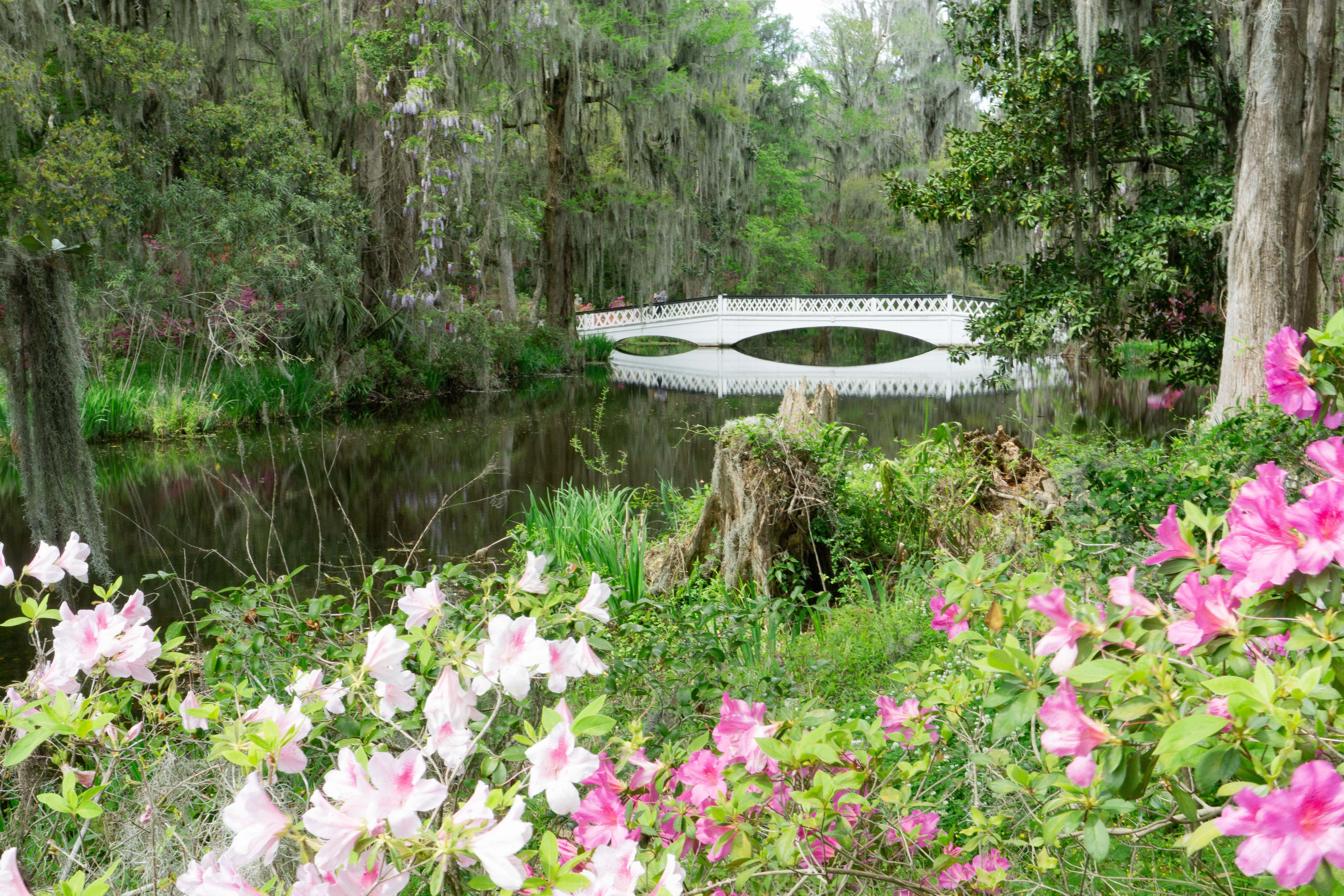 Middleton Plantation