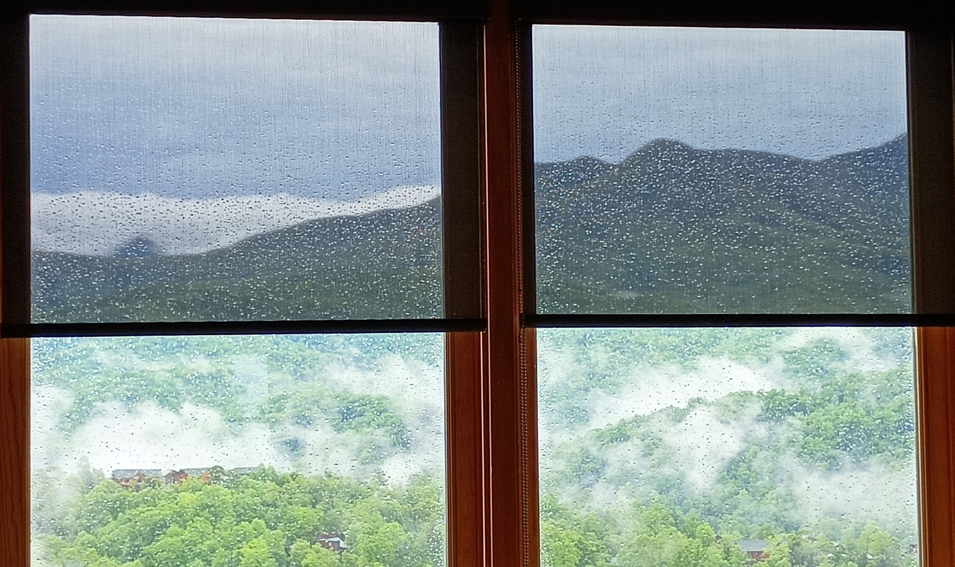 What a view