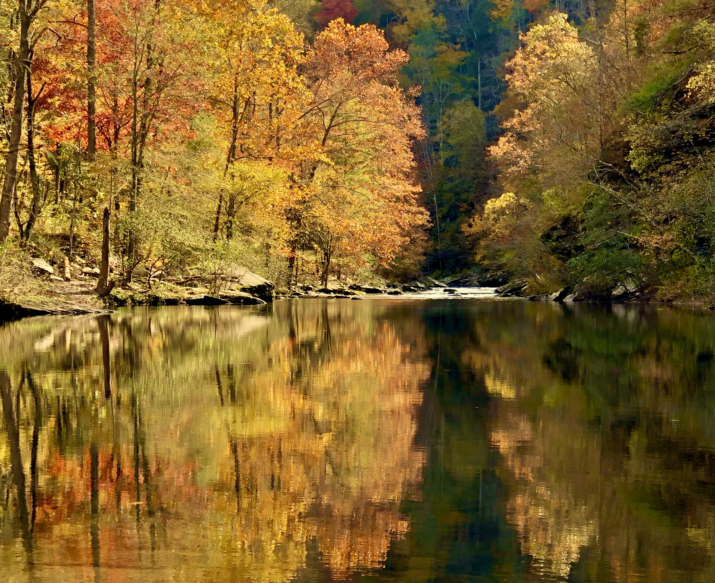 Tellico Refletion