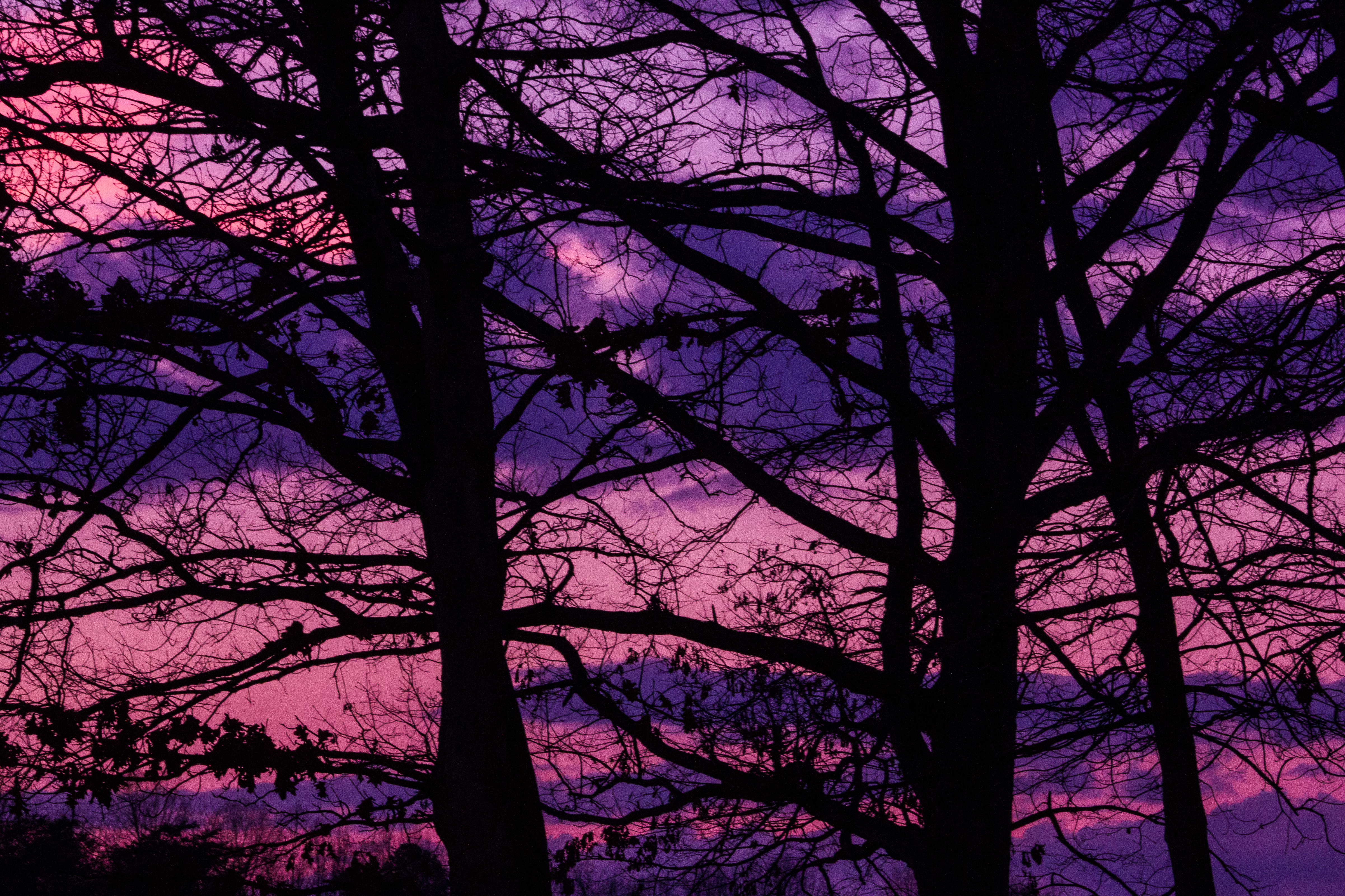 Winter Sunrise Silhouette