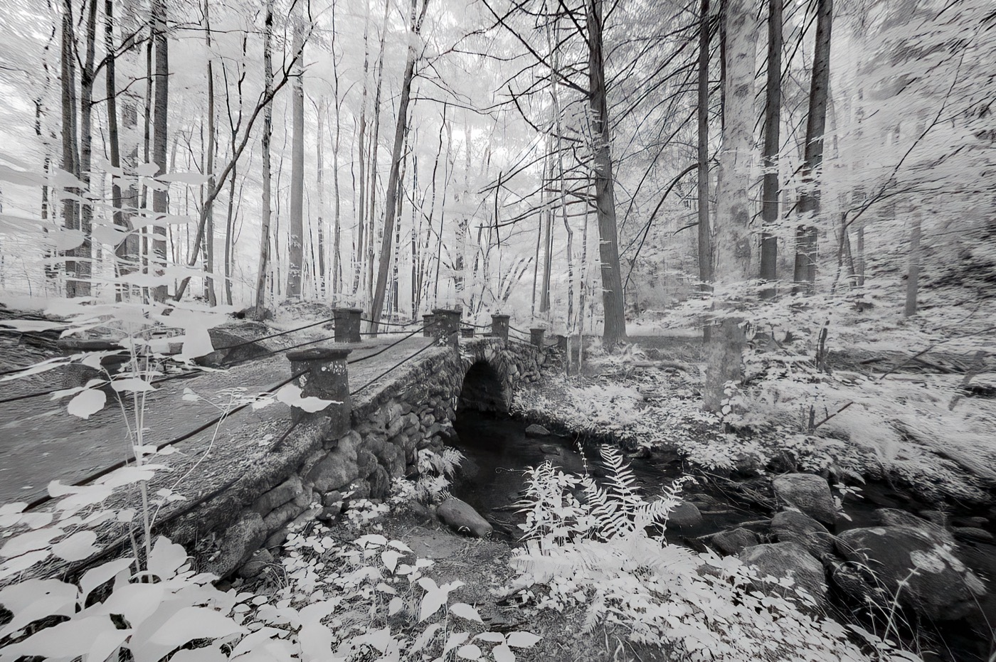 The Troll Bridge-Infrared